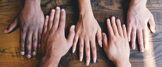 Diversity & acceptance