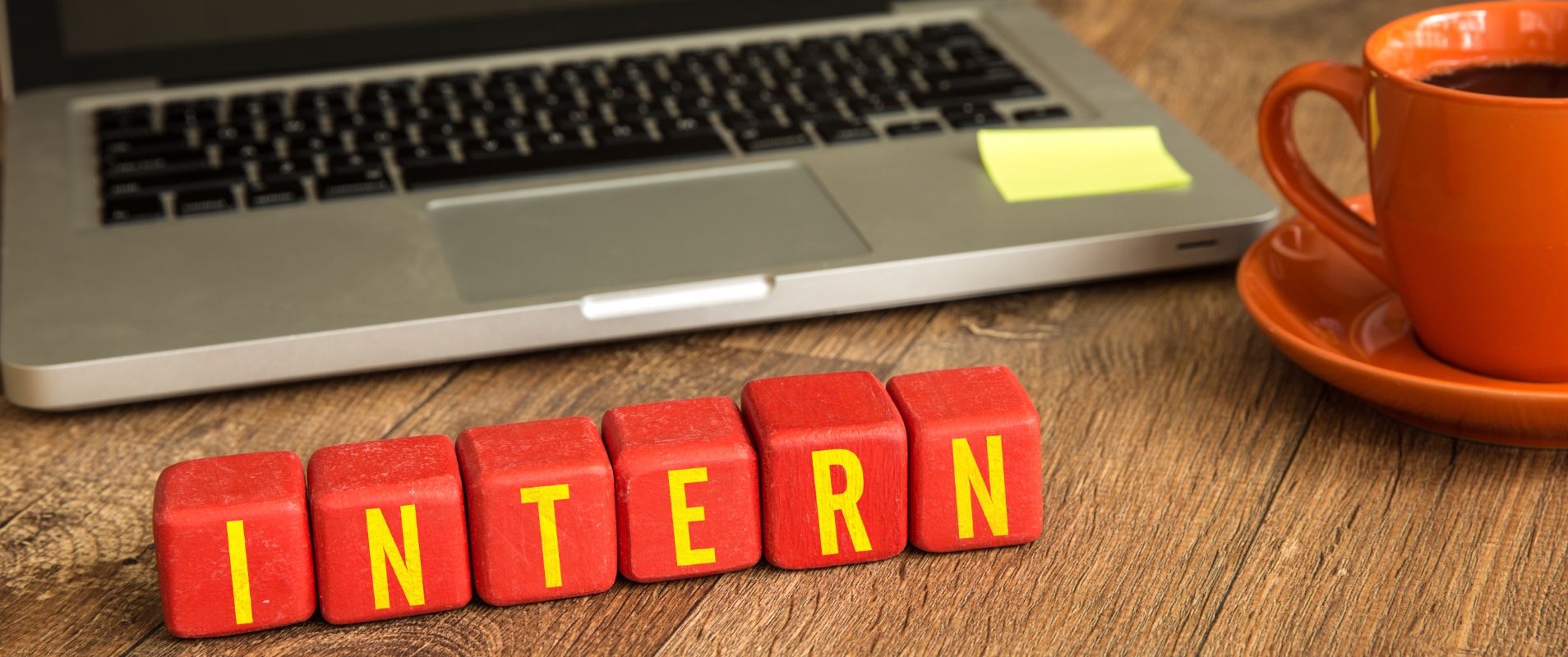 Why you should intern in the charity sector