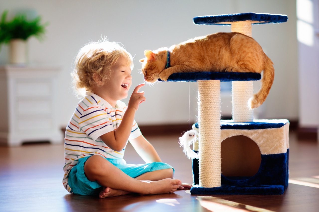 Child with a cat
